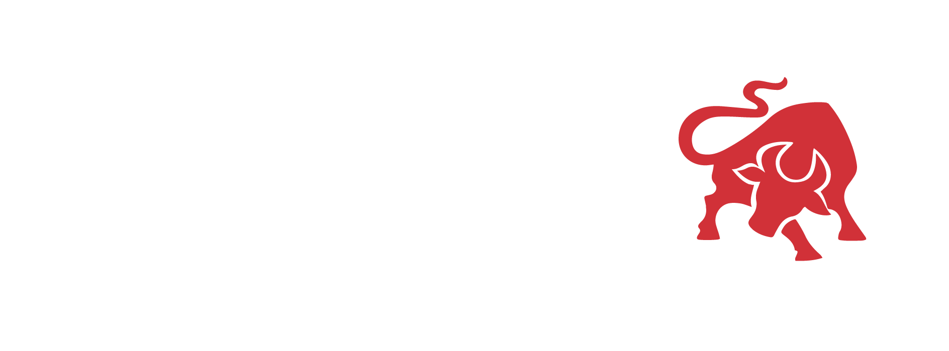 לוגו חדש בורגרנץ