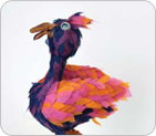 birds
