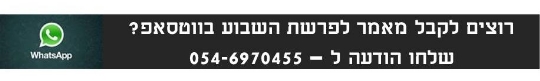 ווטסאפ לאתר