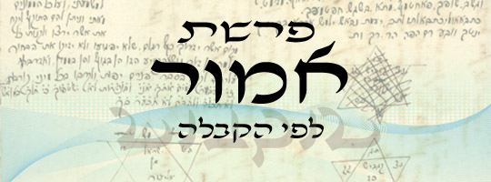 אמור 